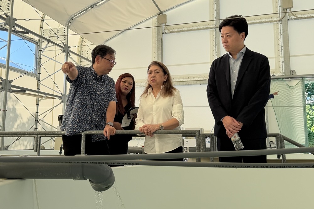 写真の説明を入れます